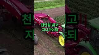 시골땅 고구마밭 사고 돈털렸네요 #shorts