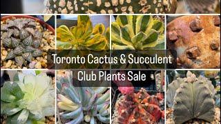 Toronto Cactus & Succulent Club Summer Plant Sale @torontocactusandsucculentc162