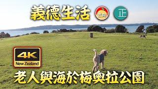 20210707N 義德生活 之 老人與海於梅奧拉公園。