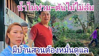 บ้านสวนต้องหมั่นดูแล กำภูโชคดีมีพี่เขยเก่ง #บ้านสวนกำภูEp1158