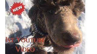 My first YouTube video
