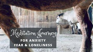 Meditation Journey with Horses for Anxiety, Loneliness or Fear