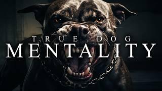 TRUE DOG MENTALITY - Best Motivational Video Speeches Compilation