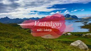 Lofoten Vestvågøy