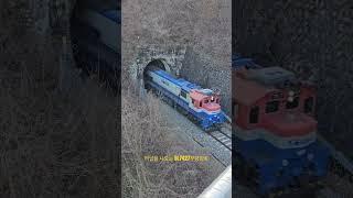 터널을 나오는 디젤 무궁화열차 #디젤기관차 #무궁화호 #railway