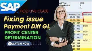 Profit Center issue in Payment Diff GL | DS SAP FICO Classes |