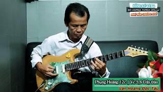 Nghe Dạo Thôi Đủ Phê Rồi | Văn Hoàng Độc Tấu Phụng Hoàng 12 câu - VC 5,6 dây đào