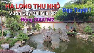 CHOÁNG NGỢP trước vườn cây toàn TP ĐỘC - LẠ RỘNG 5000 M2 của ĐẠI GIA Hải Phòng * NV Quang Minh *.