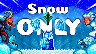 Can you Beat Terraria with Snow Gear Only?