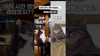 20대 초반 후반 현실비교영상 ㅠㅠ #고양이밈