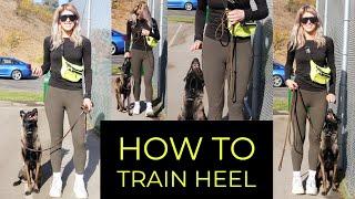 HOW TO TEACH YOUR DOG TO HEEL or FUSS