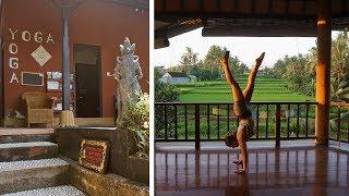 The Best Yoga Schools in Ubud, BALI |  5 different Yoga Studios