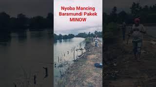 Mancing Mancing Bos Qu#mancing #strek #mancingbabon #mancingbaramundi #shorts