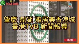 肇慶 鼎湖 雅居樂香港城 香港TVB 新聞報導