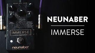 Neunaber Immerse Reverberator Demo