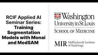 Training Segmentation Models with MONAI and MedSAM