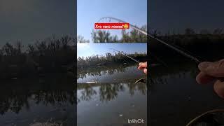 #fishing #спінінг