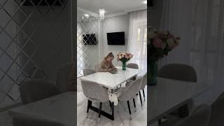 Аудио открытка ВБ арт 312871275