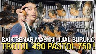 UPDATE SORE ! YANG MAU?. MURAI JANTAN 450 MURAI PASTOL 750 PASAR BURUNG PRAMUKA HARI INI KIOS ARIS