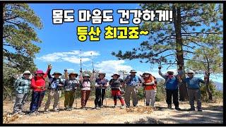 Mount Hillyer Hike 마운트 힐리어 | 하이킹 | 미국 등산   Chilao Campground San Gabriel angeles national forest