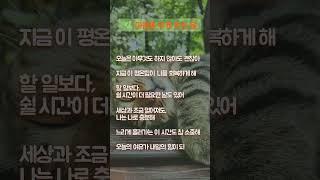 마음을 쉬게 하는 말 #좋은글 #쉼 #회복 #평온함 #여유 #평온함 #마음