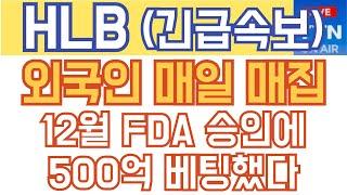 HLB 에이치엘비 매수 매도 주가전망 - 긴급속보) 외국인 매일 매집! 12월 FDA 승인에 500억 베팅했다!