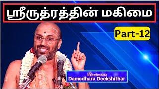 ஸ்ரீருத்ரத்தின் மகிமை 12, Glory of Sri Rudram -   Brahmasri Damodara Deekshitar