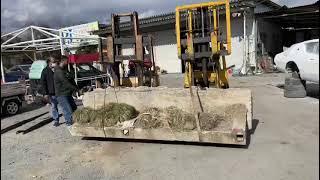 2 Forklifts working Great Understanding #viral #viralvideo