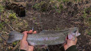 В июне +4, а форель идёт отлично / Trout fishing