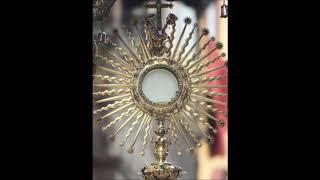 Anima Christi, sanctifica me. Corpus Christi, salva me...