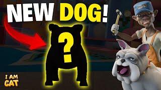 WHERE to FIND NEW DOG *CHUBBY* in FULL RELEASE (I Am Cat VR)