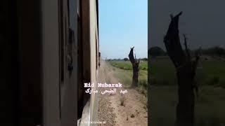 Eid Mubarak 11 Up Hazara Express With HBU_20 8039 Running Near Malakwal. #shorts #eid #eidmubarak