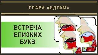 Айман Сувейд. 10. Идгам близких (русские субтитры)