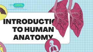  Anatomy and Physiology Basics | Introduction to the Human Body 🩺#Anatomy #Physiology #HumanBody