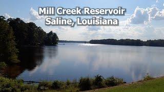 Exploring Mill Creek Reservoir: A Hidden Gem in the Heart of Bienville Parish