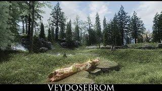 Skyrim SE Mods - The Elder Scrolls - Veydosebrom - Grasses and Groundcover