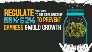 Integra Boost - ACHIEVE THE IDEAL HUMIDITY FOR CURING AND STORING CANNABIS