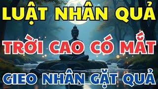 Chuyện Luật Nhân Quả: Trời Cao Có Mắt - Gieo Nhân Nào Gặt Quả Nấy | Nhân Quả Nghiệp Báo