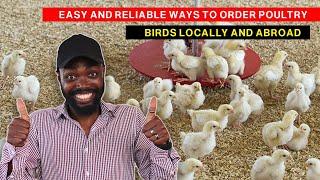 HOW TO ORDER POULTRY BIRDS FROM HOLLAND, TURKEY, BELGIUM, IVORY COAST TO YOUR FARM IN AFRICA