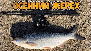 Трудовой Деснянский Жерех