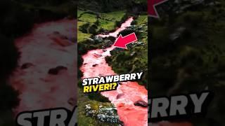 If You See a Pink River, RUN IMMEDIATELY! 