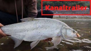 Home of Predator Fishing Kanal-Trailer | Der neue Angelkanal auf YouTube | 4K