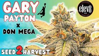 GARY PAYTON x DON MEGA  Seed to Harvest Documentary in 4K