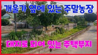 341. 고현리 주택부지매매 개울옆 청하주택부지 매매  주말농장으로 활용하고 있는  포항주택부지 매매 청하대지매매 포항부동산 청하부동산 지목부동산