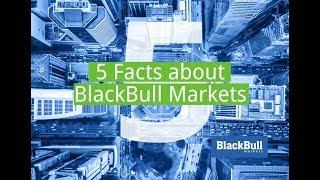 5 FACTS about BlackBull Markets