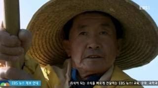 EBS 다큐프라임 - Docuprime_한국의 강 2부- 그들이 돌아오다_#001