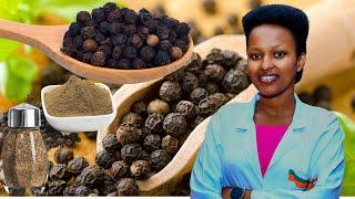 BLACK PEPPER! Umwami w’ibirungo! Dore ibizaba mu MUBIRI wawe nukoresha Pilipili Manga BURI MUNSI!