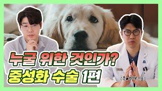 강아지 중성화 수술, 꼭 해야 하나요? | 설채현 행동학 수의사 (feat.VIP 동물의료센터 김종인 원장)