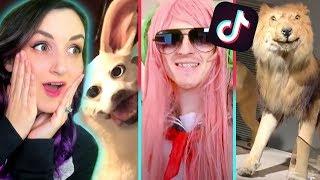 REACTING TO MY FAVORITE TIK TOK VIDEOS