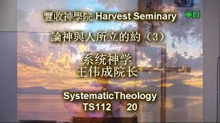 TS112   20 系统神学 1 Systematic Theology 1 王伟成院长 讲道解经 豐收神學院